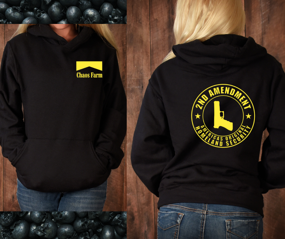 2nd Amendment Hoodie